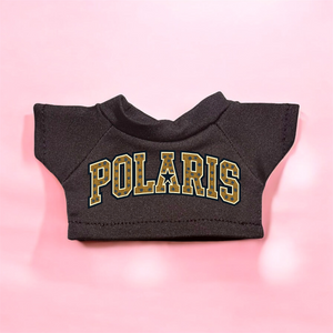 POLARIS 2