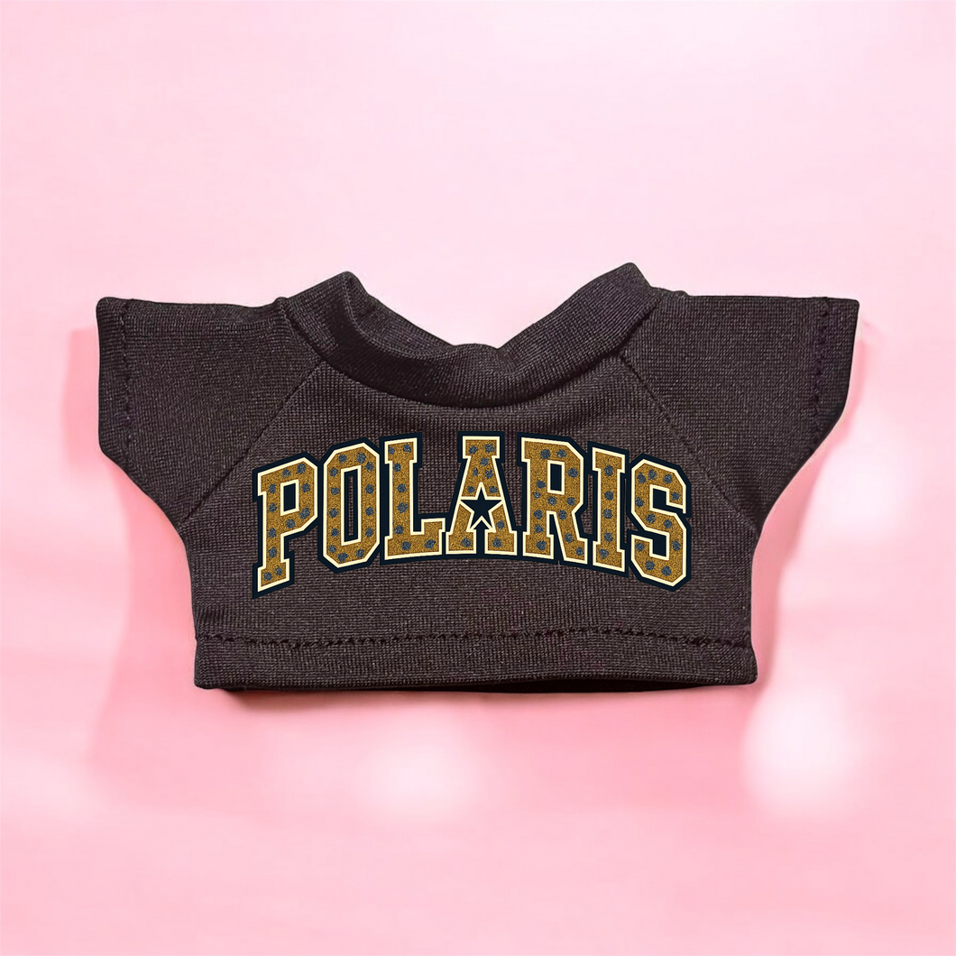 POLARIS 2